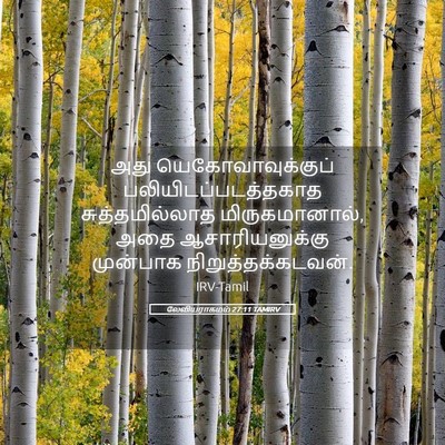 Picture 05 - லேவியராகமம் 27:11 TAMIRV - அது - Bible Verse Picture