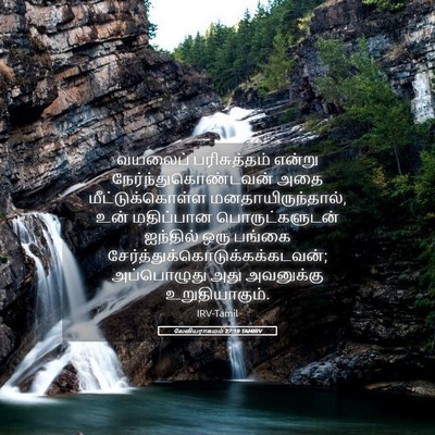 Picture 05 - லேவியராகமம் 27:19 TAMIRV - வயலைப் பரிசுத்தம் - Bible Verse Picture