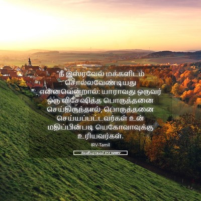 Picture 05 - லேவியராகமம் 27:2 TAMIRV - “நீ இஸ்ரவேல் - Bible Verse Picture