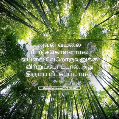 Picture 05 - லேவியராகமம் 27:20 TAMIRV - அவன் வயலை - Bible Verse Picture