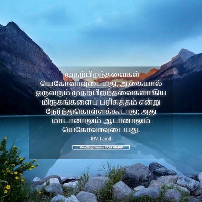 Picture 05 - லேவியராகமம் 27:26 TAMIRV -  - Bible Verse Picture