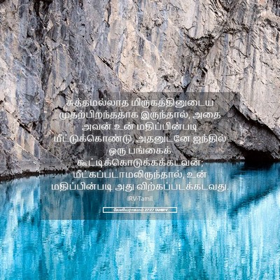 Picture 05 - லேவியராகமம் 27:27 TAMIRV - சுத்தமல்லாத - Bible Verse Picture