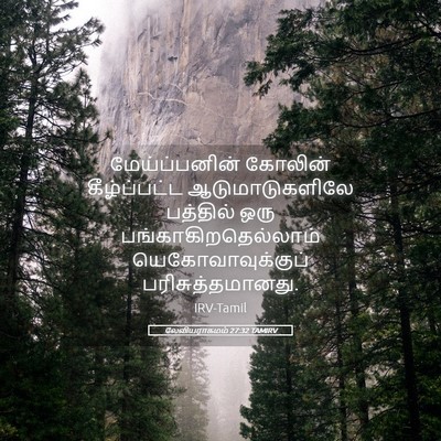 Picture 05 - லேவியராகமம் 27:32 TAMIRV - மேய்ப்பனின் - Bible Verse Picture