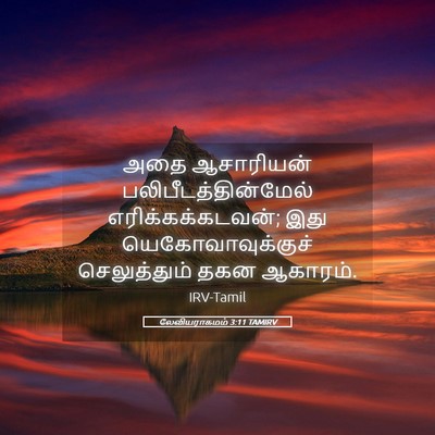 Picture 05 - லேவியராகமம் 3:11 TAMIRV - அதை ஆசாரியன் - Bible Verse Picture
