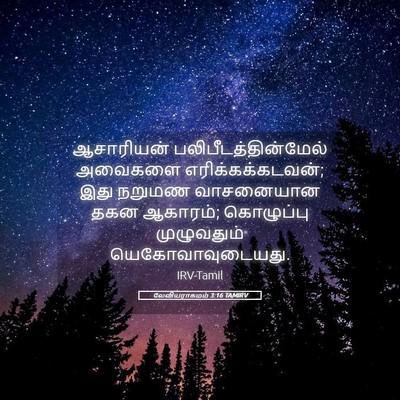 Picture 05 - லேவியராகமம் 3:16 TAMIRV - ஆசாரியன் - Bible Verse Picture