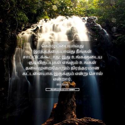 Picture 05 - லேவியராகமம் 3:17 TAMIRV - கொழுப்பையாவது - Bible Verse Picture