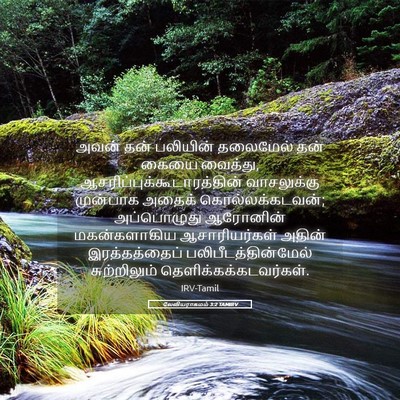 Picture 05 - லேவியராகமம் 3:2 TAMIRV - அவன் தன் பலியின் - Bible Verse Picture