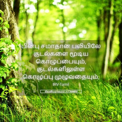 Picture 05 - லேவியராகமம் 3:3 TAMIRV - பின்பு சமாதான - Bible Verse Picture