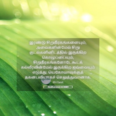 Picture 05 - லேவியராகமம் 3:4 TAMIRV - இரண்டு - Bible Verse Picture