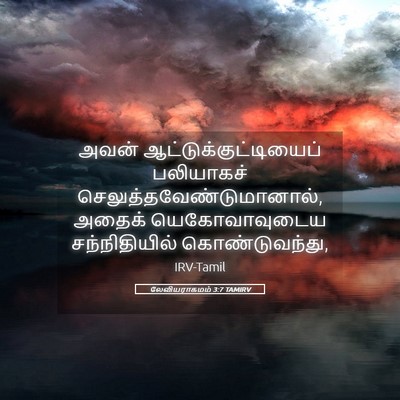 Picture 05 - லேவியராகமம் 3:7 TAMIRV - அவன் - Bible Verse Picture