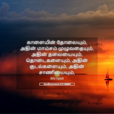 Picture 05 - லேவியராகமம் 4:11 TAMIRV - காளையின் - Bible Verse Picture