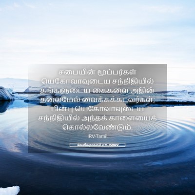 Picture 05 - லேவியராகமம் 4:15 TAMIRV - சபையின் - Bible Verse Picture
