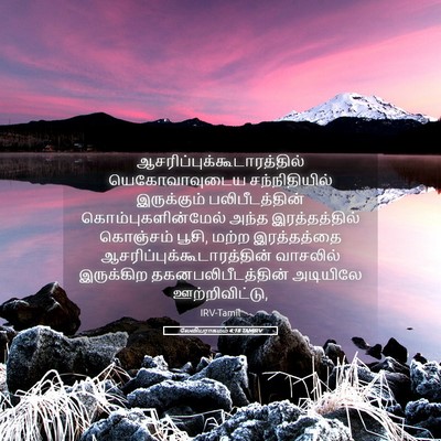 Picture 05 - லேவியராகமம் 4:18 TAMIRV -  - Bible Verse Picture