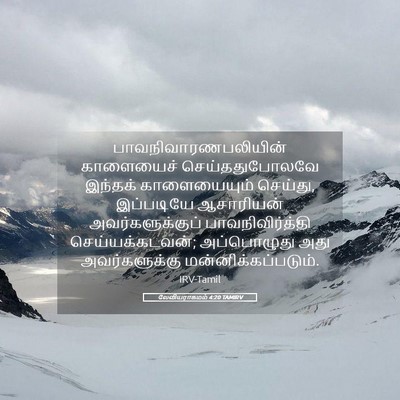 Picture 05 - லேவியராகமம் 4:20 TAMIRV - பாவநிவாரணபலியின் - Bible Verse Picture