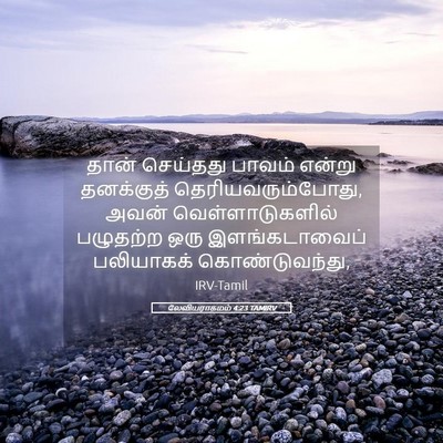 Picture 05 - லேவியராகமம் 4:23 TAMIRV - தான் செய்தது - Bible Verse Picture