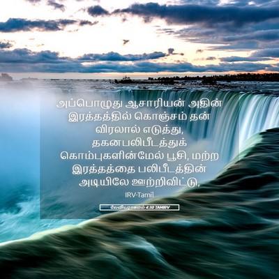 Picture 05 - லேவியராகமம் 4:30 TAMIRV - அப்பொழுது - Bible Verse Picture