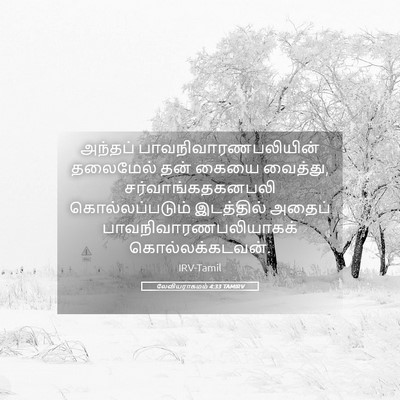Picture 05 - லேவியராகமம் 4:33 TAMIRV - அந்தப் - Bible Verse Picture