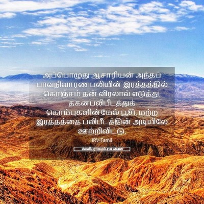 Picture 05 - லேவியராகமம் 4:34 TAMIRV - அப்பொழுது - Bible Verse Picture