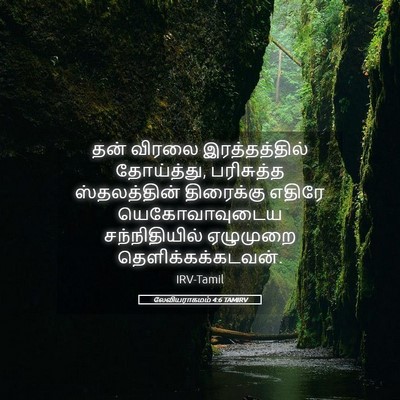 Picture 05 - லேவியராகமம் 4:6 TAMIRV - தன் விரலை - Bible Verse Picture