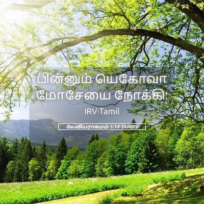 Picture 05 - லேவியராகமம் 5:14 TAMIRV - பின்னும் யெகோவா - Bible Verse Picture