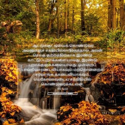 Picture 05 - லேவியராகமம் 5:7 TAMIRV -  - Bible Verse Picture