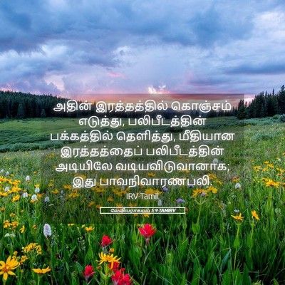 Picture 05 - லேவியராகமம் 5:9 TAMIRV - அதின் இரத்தத்தில் - Bible Verse Picture