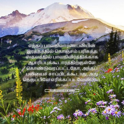 Picture 05 - லேவியராகமம் 6:30 TAMIRV - எந்தப் - Bible Verse Picture