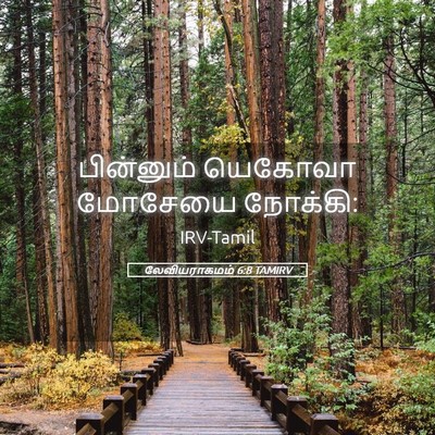 Picture 05 - லேவியராகமம் 6:8 TAMIRV - பின்னும் யெகோவா - Bible Verse Picture
