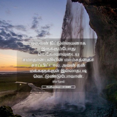 Picture 05 - லேவியராகமம் 7:20 TAMIRV - ஒருவன் - Bible Verse Picture