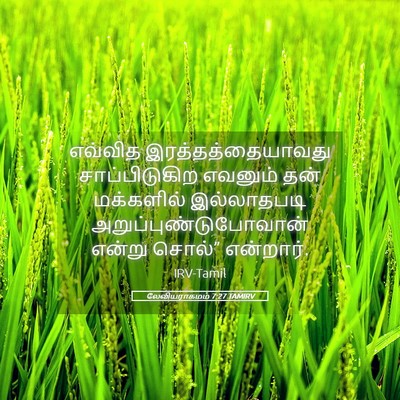 Picture 05 - லேவியராகமம் 7:27 TAMIRV - எவ்வித - Bible Verse Picture