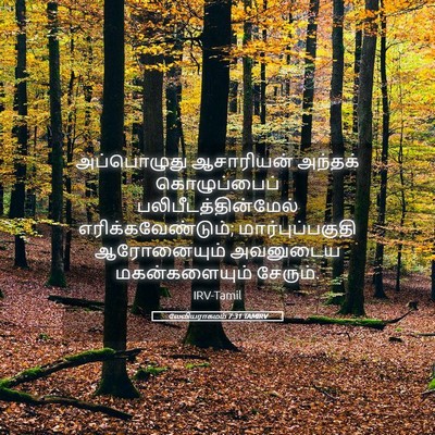 Picture 05 - லேவியராகமம் 7:31 TAMIRV - அப்பொழுது - Bible Verse Picture