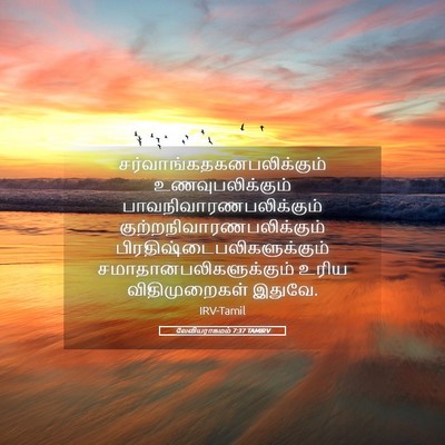 Picture 05 - லேவியராகமம் 7:37 TAMIRV -  - Bible Verse Picture