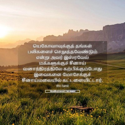 Picture 05 - லேவியராகமம் 7:38 TAMIRV - யெகோவாவுக்குத் - Bible Verse Picture