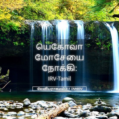 Picture 05 - லேவியராகமம் 8:1 TAMIRV - யெகோவா மோசேயை - Bible Verse Picture