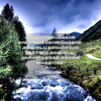 Picture 05 - லேவியராகமம் 8:14 TAMIRV -  - Bible Verse Picture