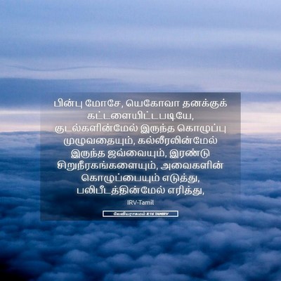 Picture 05 - லேவியராகமம் 8:16 TAMIRV - பின்பு மோசே, - Bible Verse Picture