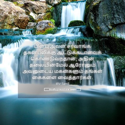 Picture 05 - லேவியராகமம் 8:18 TAMIRV - பின்பு அவன் - Bible Verse Picture