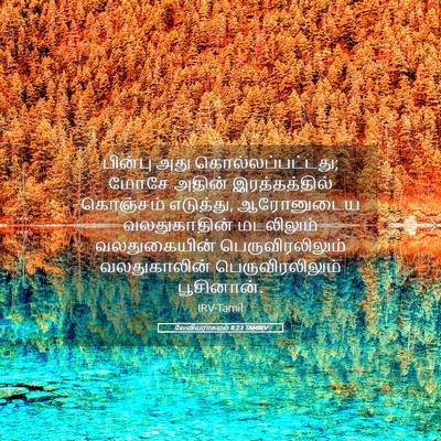 Picture 05 - லேவியராகமம் 8:23 TAMIRV - பின்பு அது - Bible Verse Picture