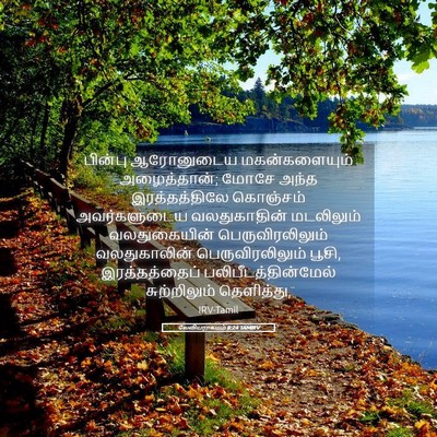 Picture 05 - லேவியராகமம் 8:24 TAMIRV - பின்பு ஆரோனுடைய - Bible Verse Picture