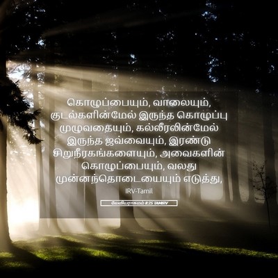 Picture 05 - லேவியராகமம் 8:25 TAMIRV - கொழுப்பையும், - Bible Verse Picture