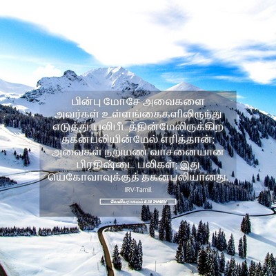 Picture 05 - லேவியராகமம் 8:28 TAMIRV - பின்பு மோசே - Bible Verse Picture