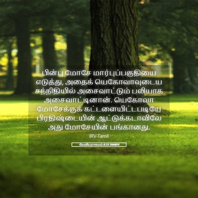 Picture 05 - லேவியராகமம் 8:29 TAMIRV - பின்பு மோசே - Bible Verse Picture