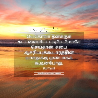 Picture 05 - லேவியராகமம் 8:4 TAMIRV - யெகோவா தனக்குக் - Bible Verse Picture