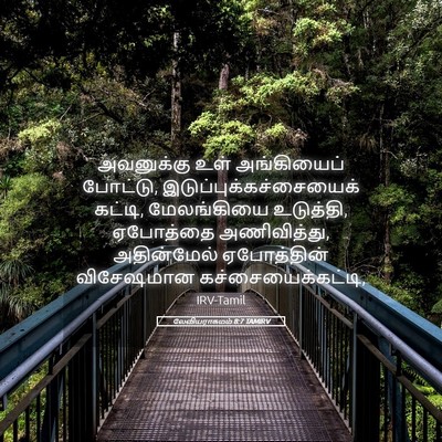 Picture 05 - லேவியராகமம் 8:7 TAMIRV - அவனுக்கு உள் - Bible Verse Picture