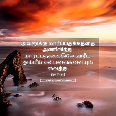 Picture 05 - லேவியராகமம் 8:8 TAMIRV - அவனுக்கு - Bible Verse Picture