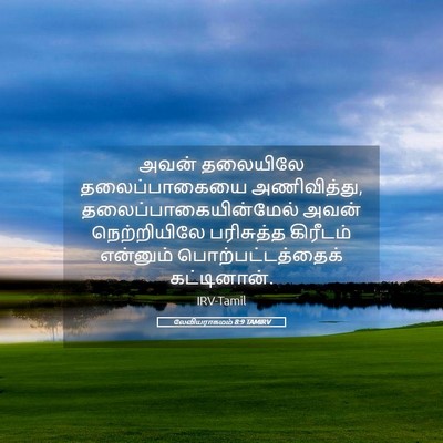Picture 05 - லேவியராகமம் 8:9 TAMIRV - அவன் தலையிலே - Bible Verse Picture
