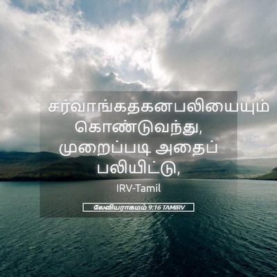 Picture 05 - லேவியராகமம் 9:16 TAMIRV -  - Bible Verse Picture