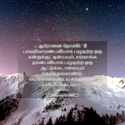 Picture 05 - லேவியராகமம் 9:2 TAMIRV - ஆரோனை நோக்கி: “நீ - Bible Verse Picture