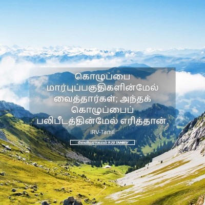 Picture 05 - லேவியராகமம் 9:20 TAMIRV - கொழுப்பை - Bible Verse Picture