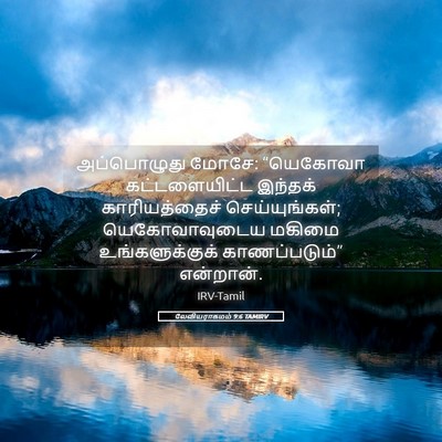 Picture 05 - லேவியராகமம் 9:6 TAMIRV - அப்பொழுது மோசே: - Bible Verse Picture